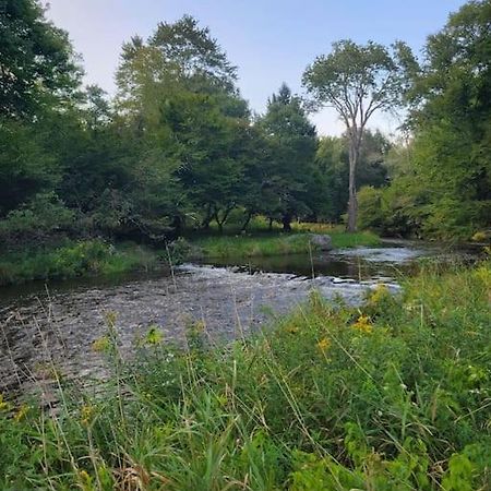 Bethel Woods Cabin Mongaup Valley المظهر الخارجي الصورة