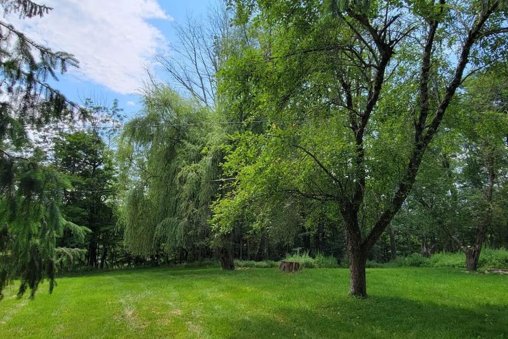 Bethel Woods Cabin Mongaup Valley المظهر الخارجي الصورة